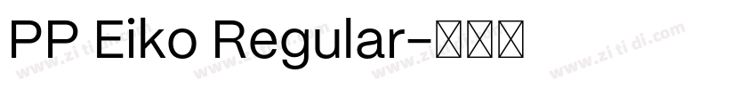 PP Eiko Regular字体转换 PP Eiko Regular字体转换